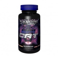 Επικατεχίνη